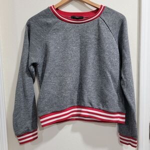 Forever 21 Gray and Red Crew Neck Sweater